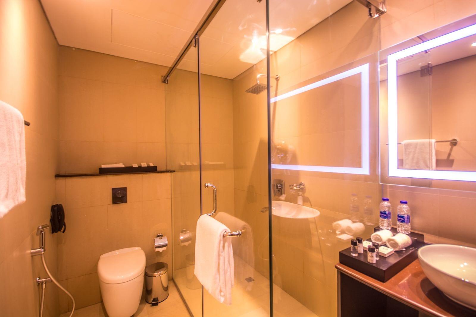 Отель Carnelian - Airport 4*